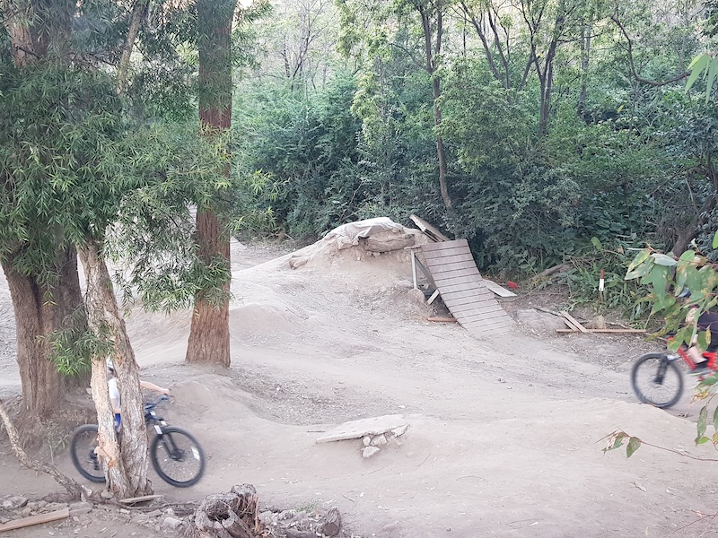 Lower North Shore Sydney Mountain Biking Trails Trailforks