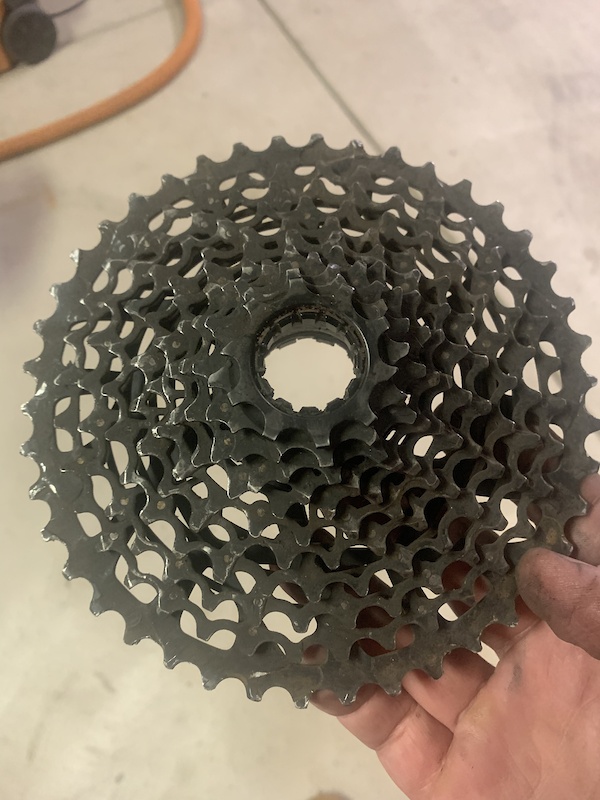 xd 10 speed cassette