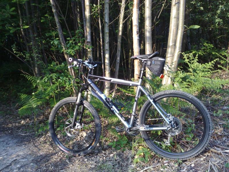 Evening ride through Cromers Wood with newly fitted Maxxis Ignitor LUST/High Roller