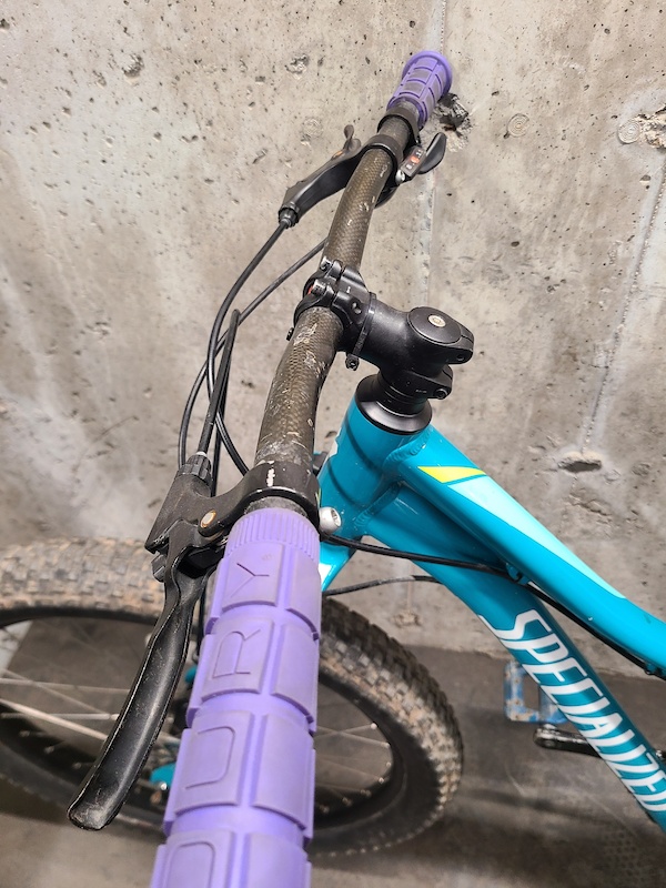 2020 Specialized Riprock 24 (New Shifter & Chain) For Sale