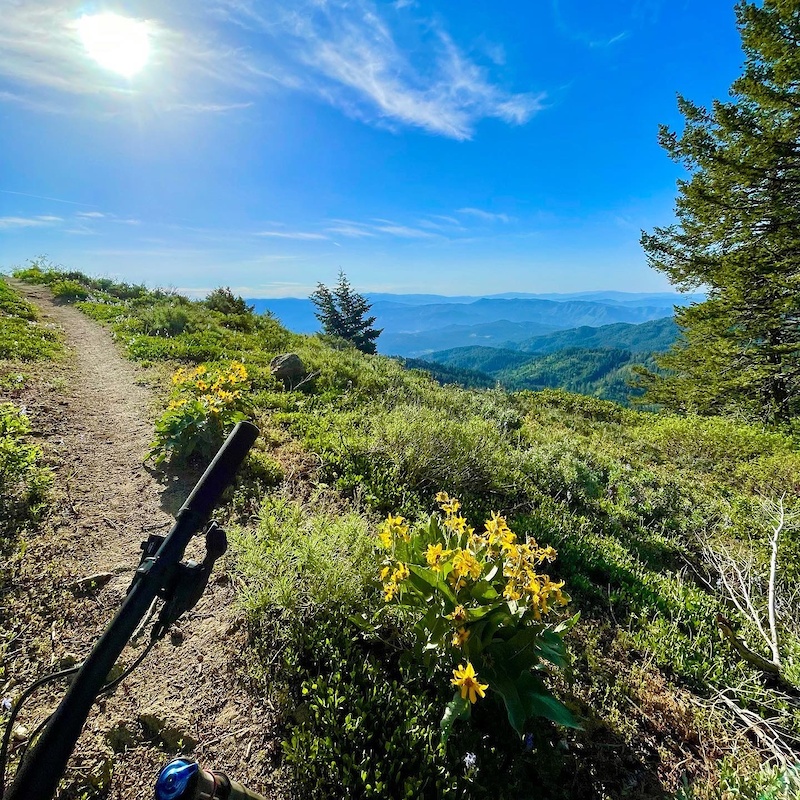 Elk Meadows Mountain Biking Trail Boise, Idaho