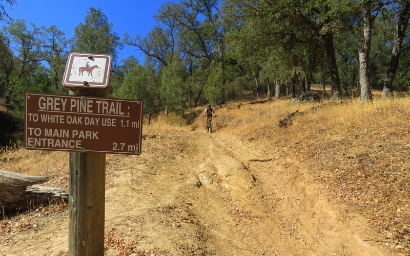 Grey Pine Trail Multi Trail - San Luis Obispo, California