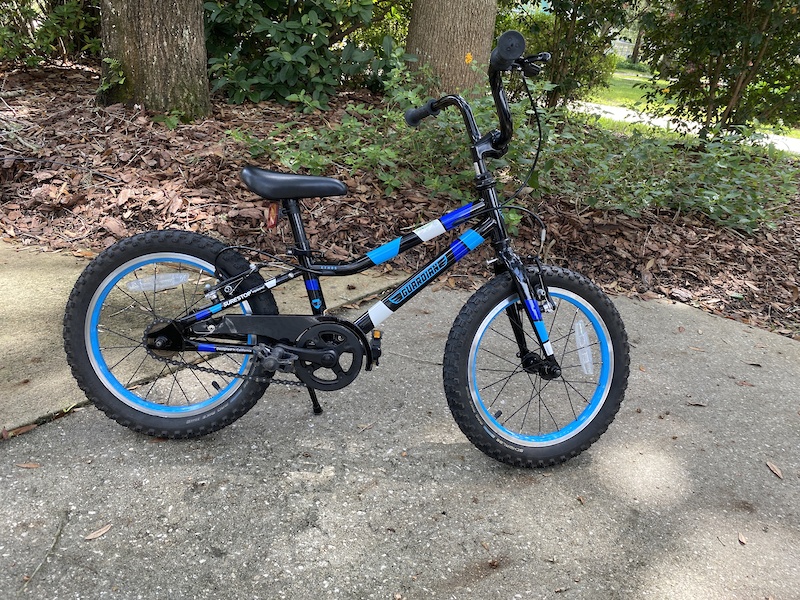 guardian ethos 16 bike