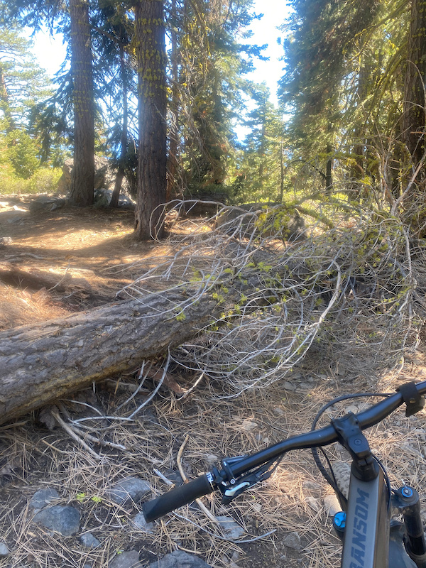 Tahoe Rim Trail (Fiberboard Rockgarden) Multi Trail - Carnelian Bay