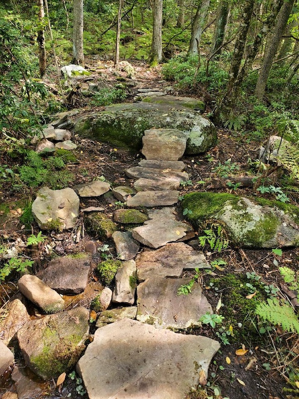 2023 Pomfret Forest Long Loop Mountain Biking Route Trailforks