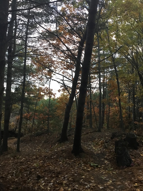 Ebb'n Flow Mountain Biking Trail Bangor, Maine