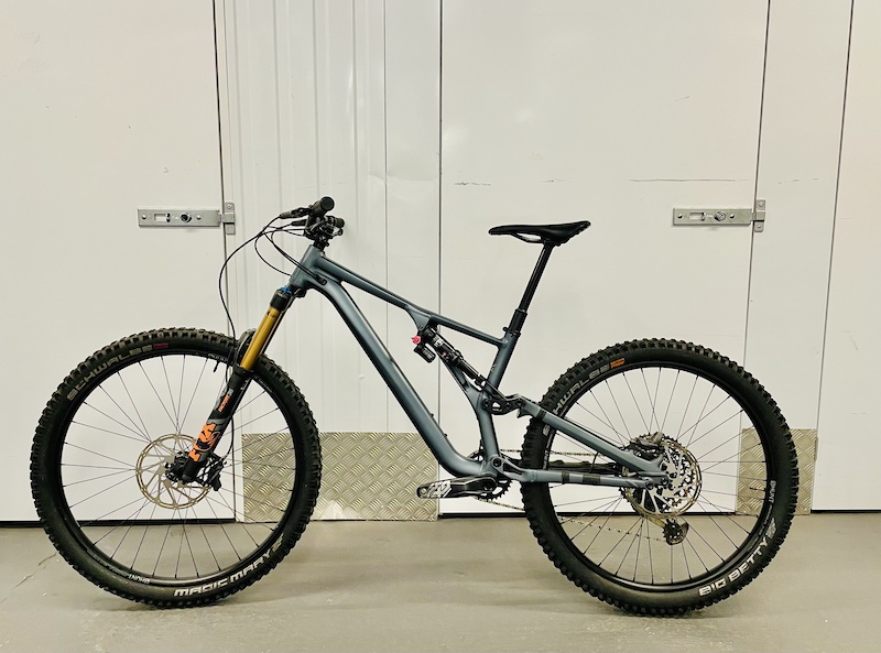 Stumpjumper hot sale evo mullet