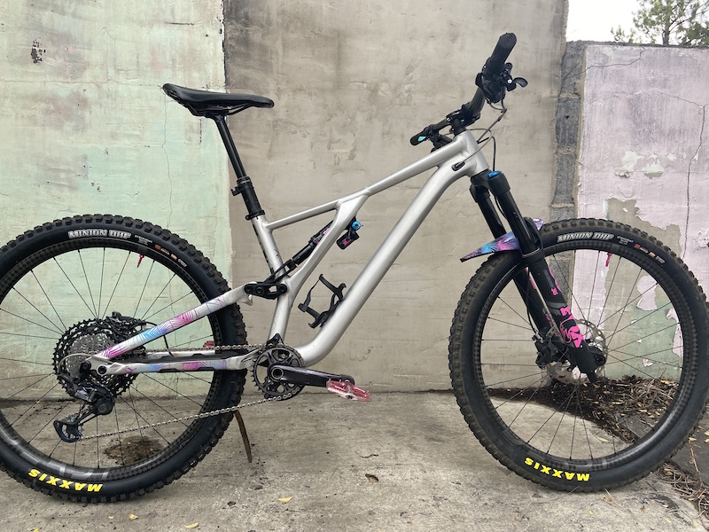 2019 stumpjumper evo
