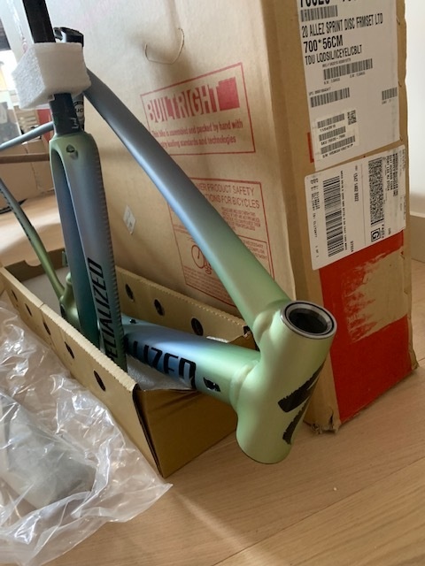 2019 Specialized Allez Sprint TDU Size 