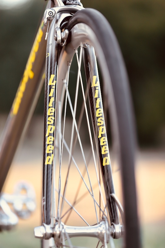 litespeed palmares for sale