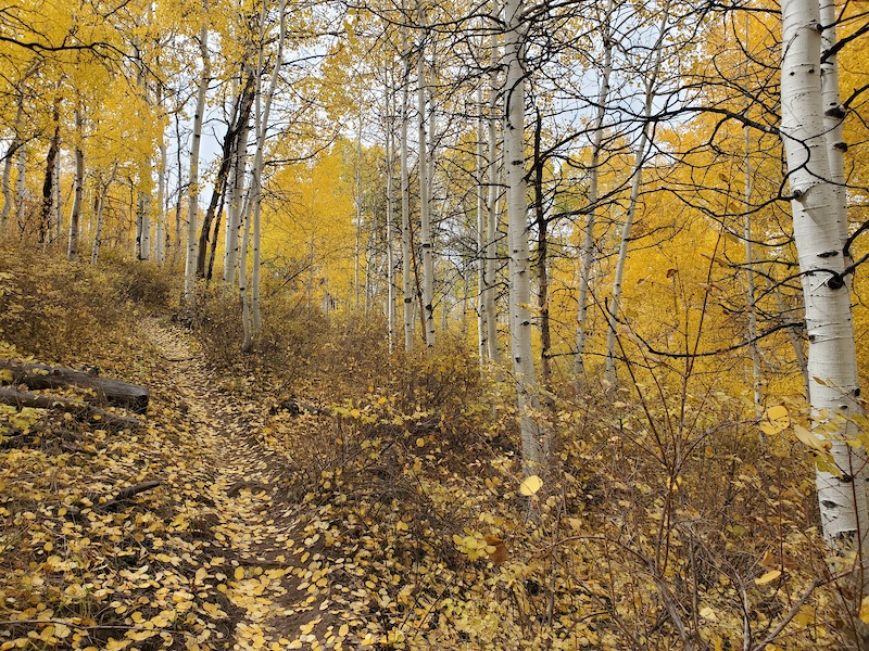 Center GWT Multi Trail - Spanish Fork, Utah | Trailforks