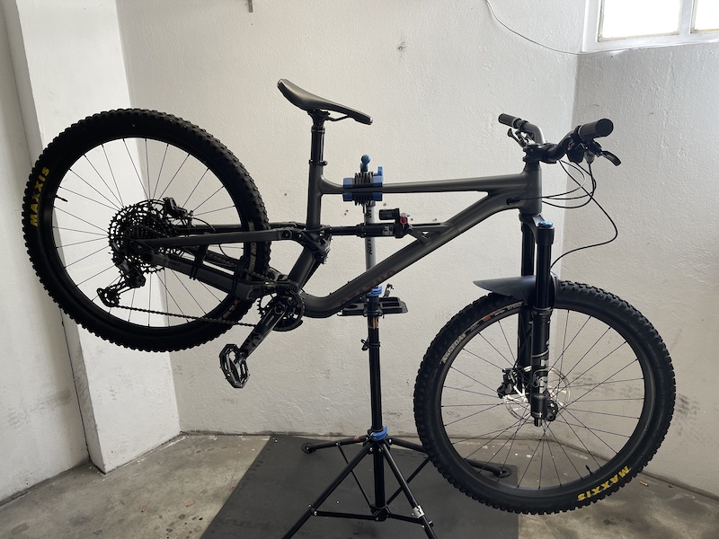 specialised status 2021