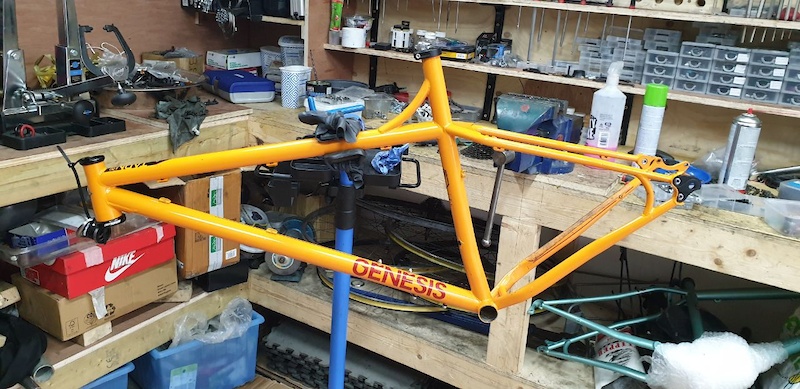 genesis tarn frame