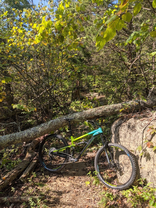 Lower Trout Lily Trail Mountain Biking Trail Morristown