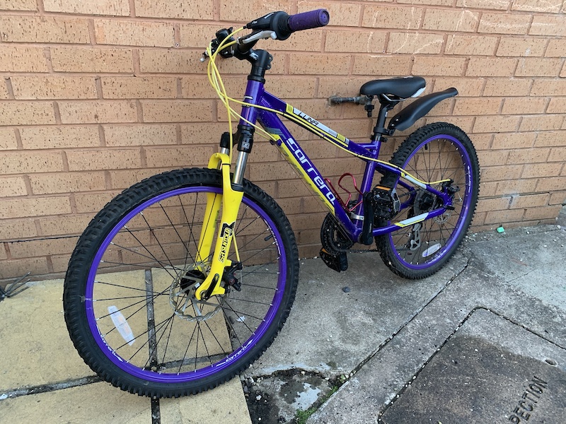 carrera luna 24 black and pink