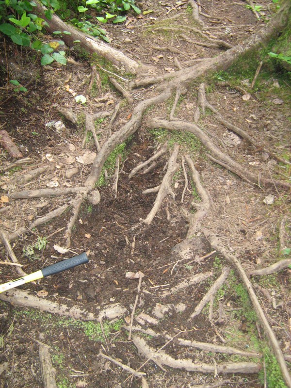 The roots will be the cribbing and the soil is loosened ready for rocks.