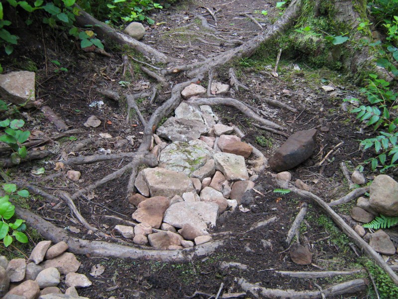 Using the roots as cribbing, the rocks are laid in place.