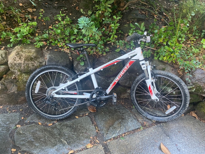 specialized hotrock 20 for sale