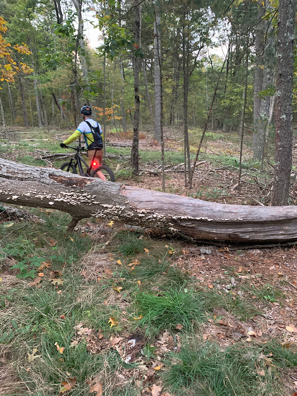 Farm Pond, Sherborn Mountain Biking Trails Trailforks