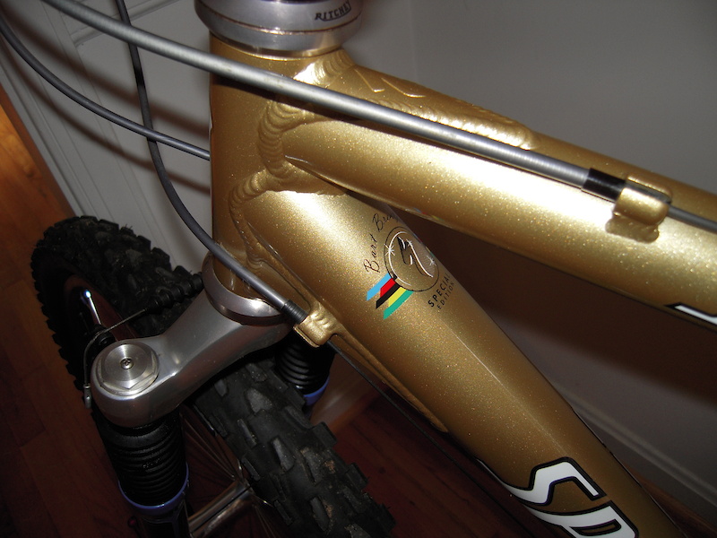 1998 Olympic Gold Ltd Edition Specialized S-Works 16.5 For Sale