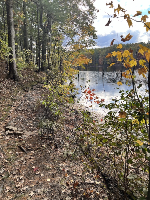 Buffumville South Loop Multi Trail Charlton, MA