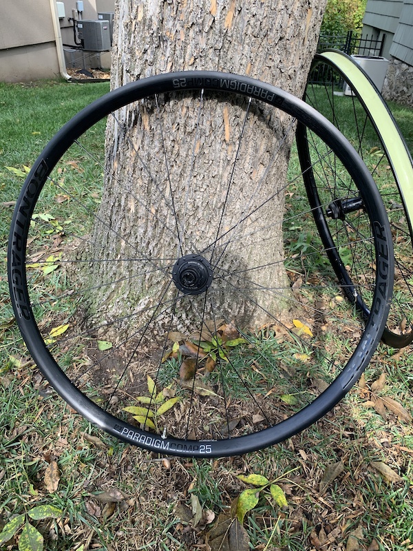 bontrager paradigm disc