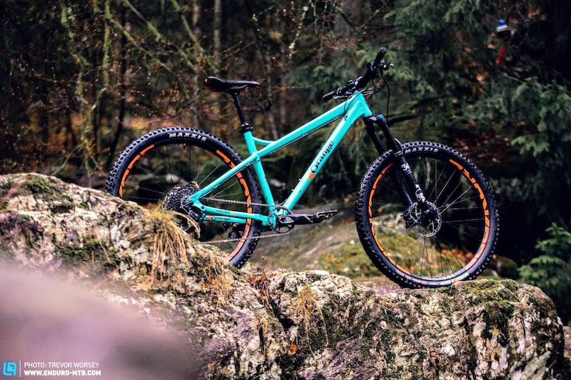 aggressive hardtail frame