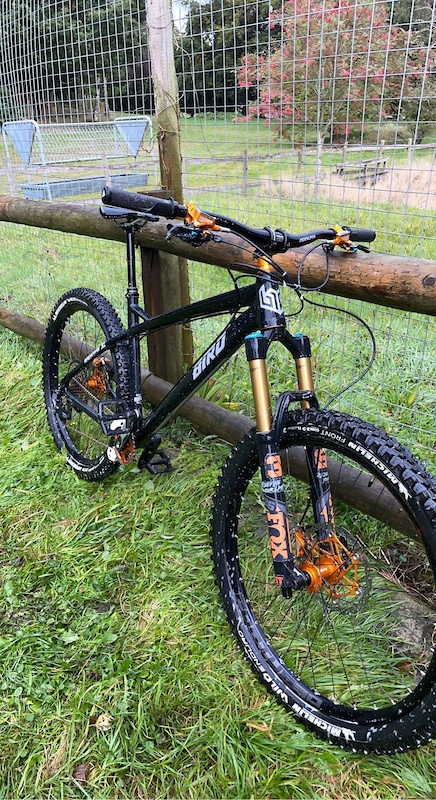 Bird zero AM / Hardtail For Sale