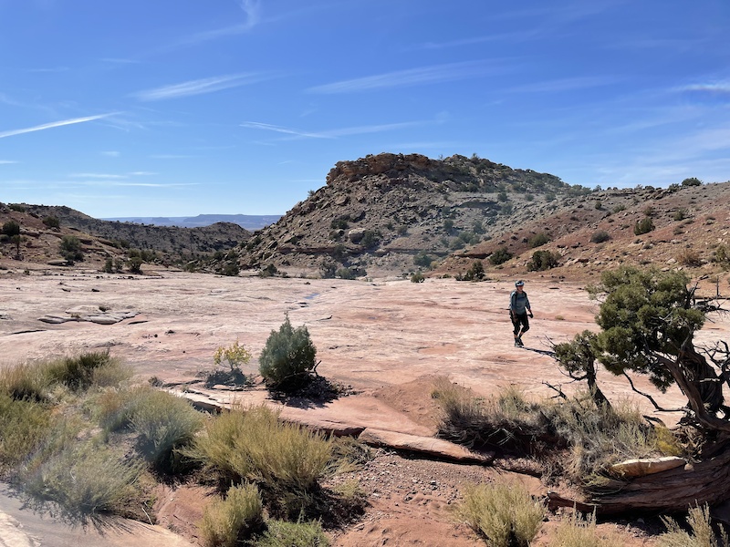 Dinosaur Stomping Ground Hike Hiking Trail - Moab, Utah