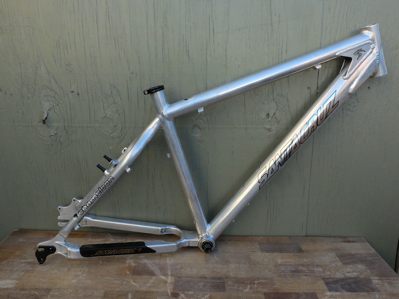 chameleon frame santa cruz