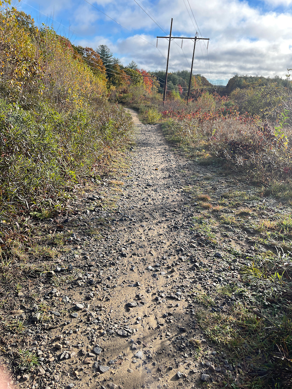 Watson Lot Trail Mountain Biking Trail Exeter, NH