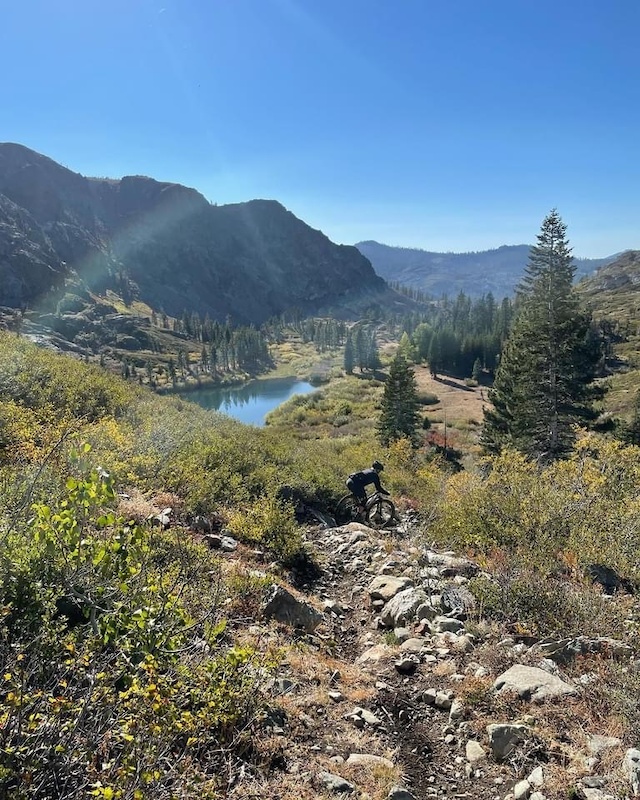 Spencer Creek Trail Mountain Biking Trail Downieville