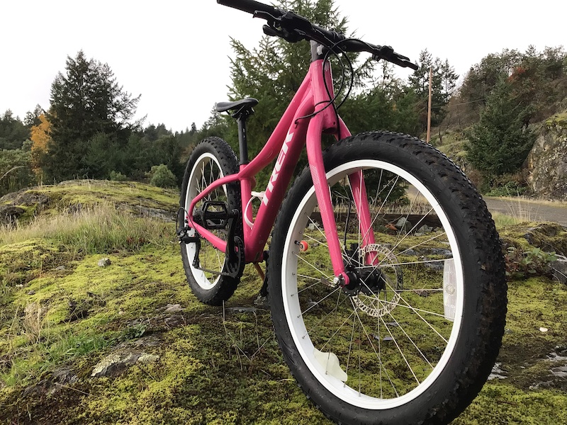2018 Trek Roscoe For Sale