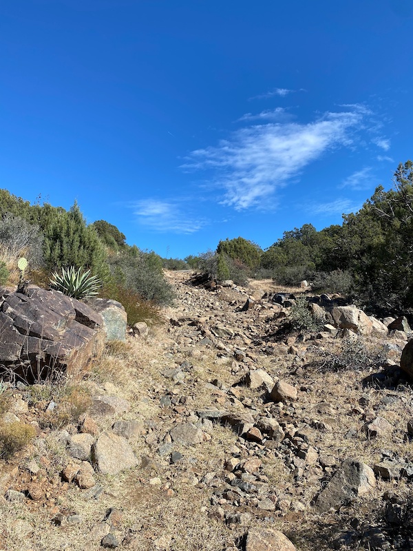Nov 09, 2021 Peach Orchard Trail Trail Report Trailforks