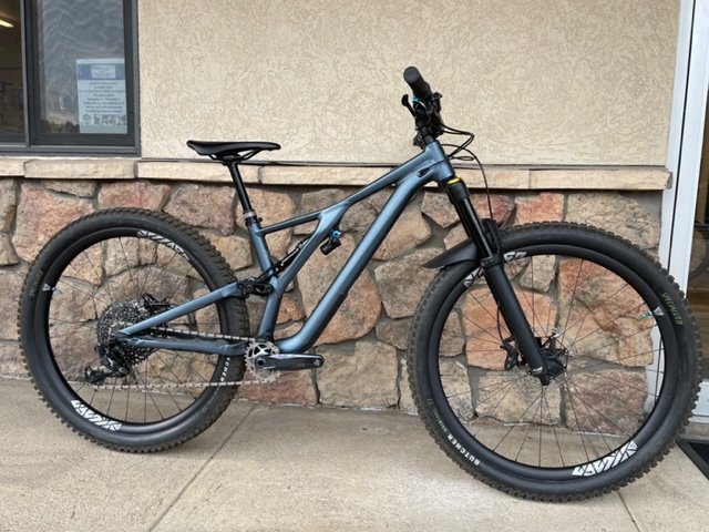 2020 specialized stumpjumper evo