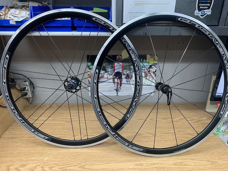 2020 Campagnolo C17 Scirocco campy fhb **new price** For Sale