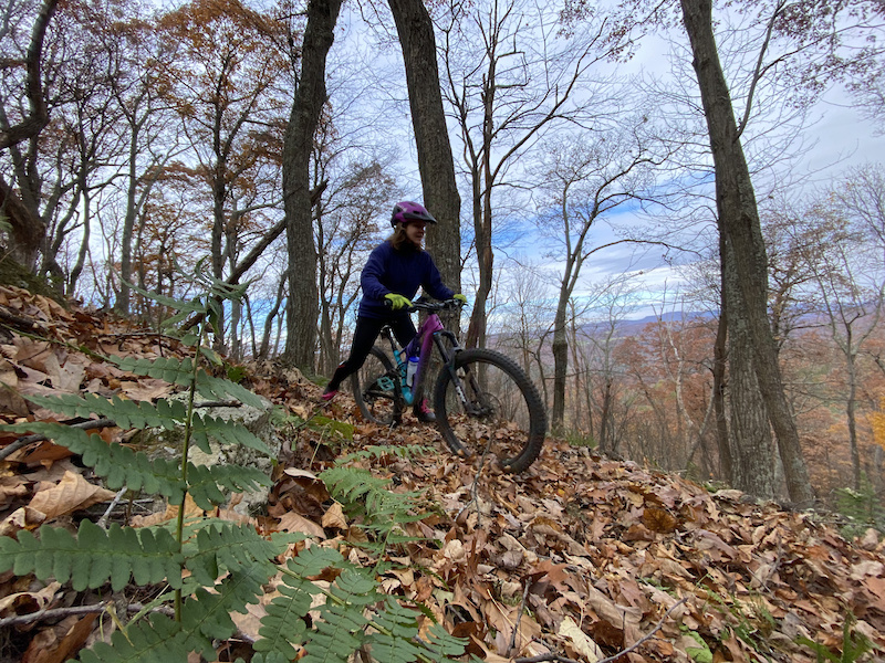 Lost River State Park, Moorefield Mountain Biking Trails Trailforks