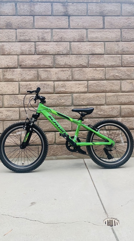 schwinn thrasher 20 bike