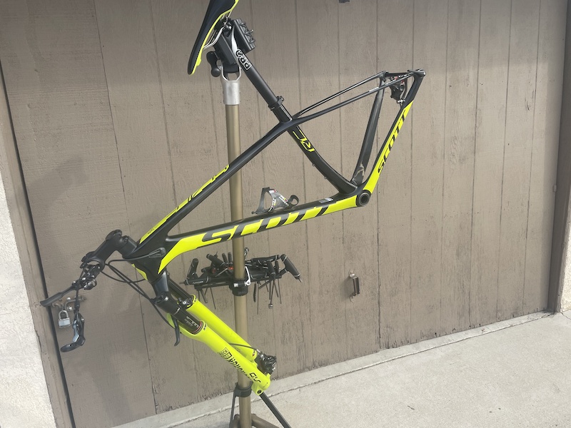 scott scale world cup 2019