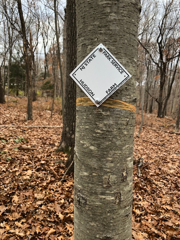 Wolf Lake Mountain Hudson Farm Hiking Trail Byram Township, NJ