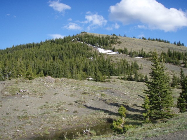 North end of Powderface Ridge.