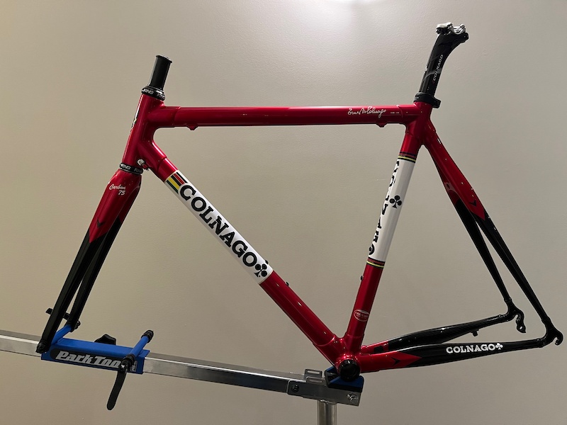 Colnago saronni best sale for sale