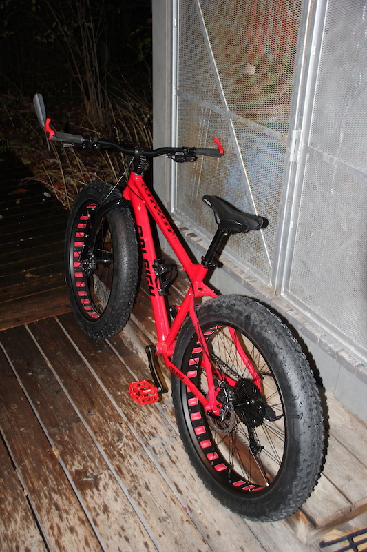 raleigh rogue 4.0 fat tire