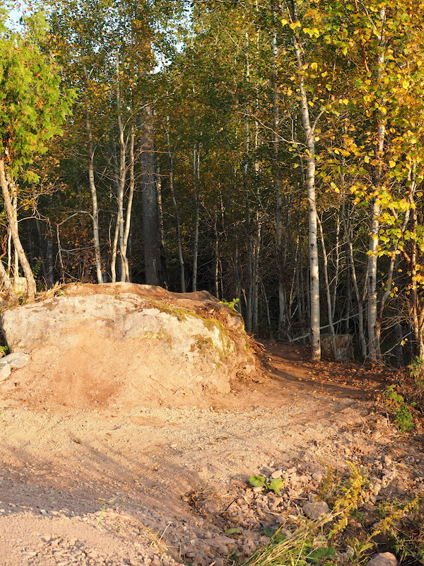 millennium bike trail