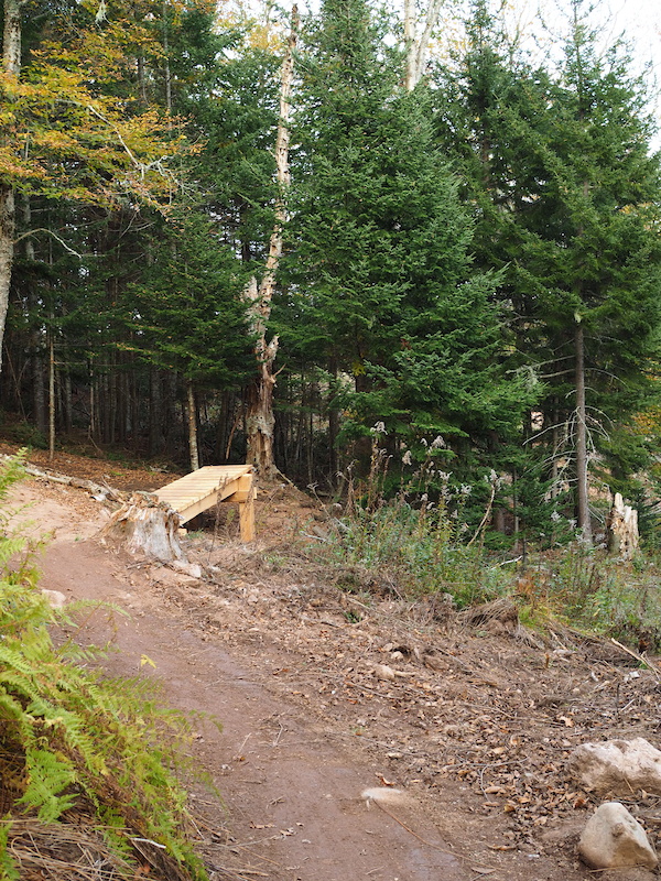Millennium Cycle Bike Park, Quispamsis Mountain Biking Trails Trailforks