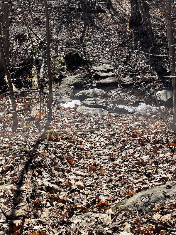 KatanEnsor Blue Trail Hiking Trail Granby, Connecticut