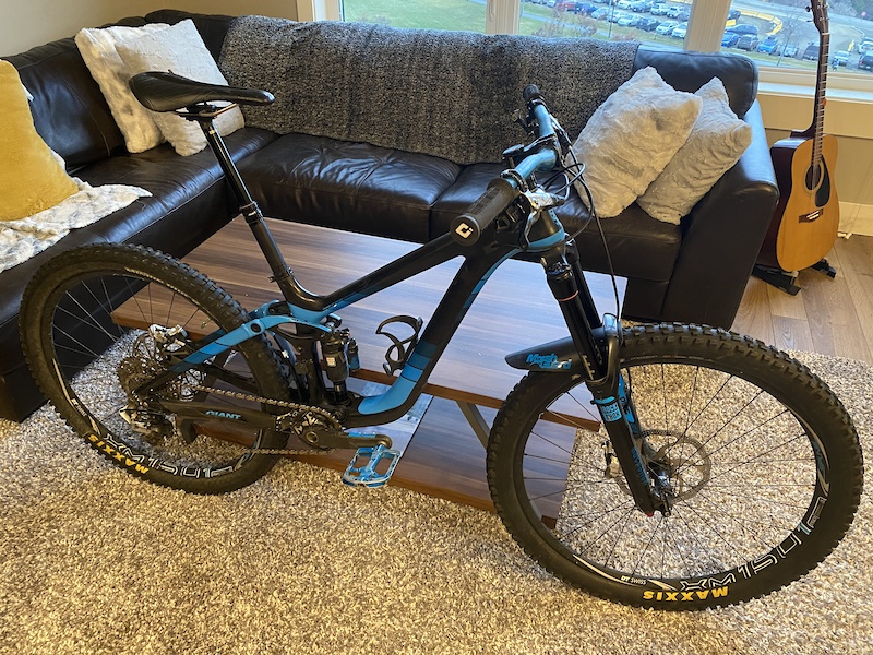 giant reign custom paint