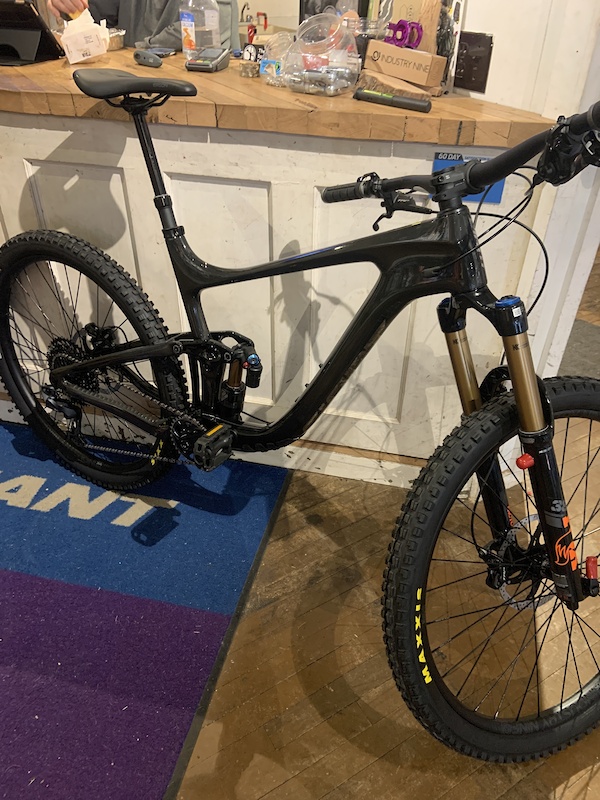 giant reign custom paint