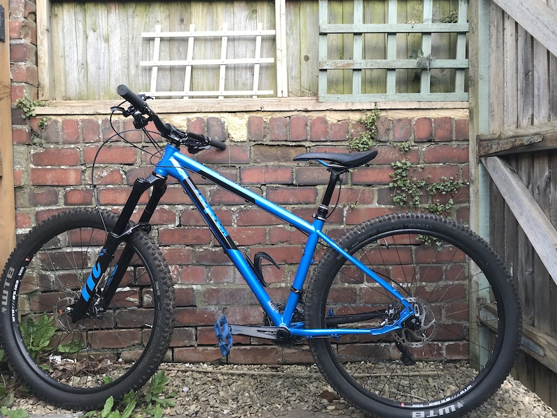 ragley blue pig 2016