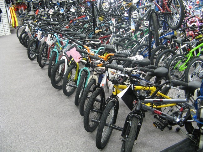 many many bikes